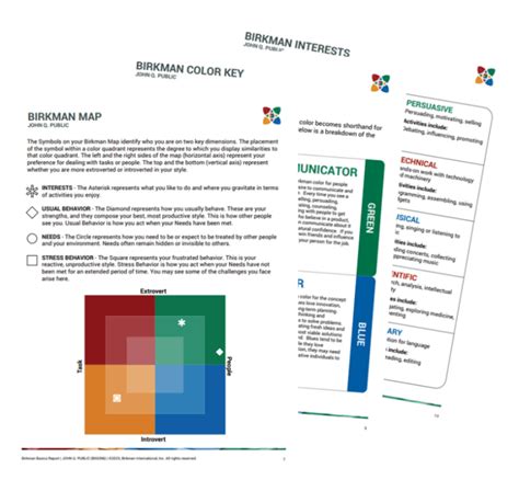 birkman sample reports.